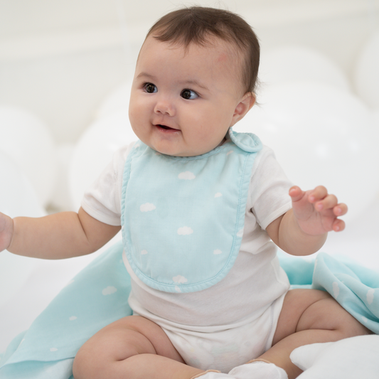 Granny Ben TENCEL™ Muslin Bib (2-pack)