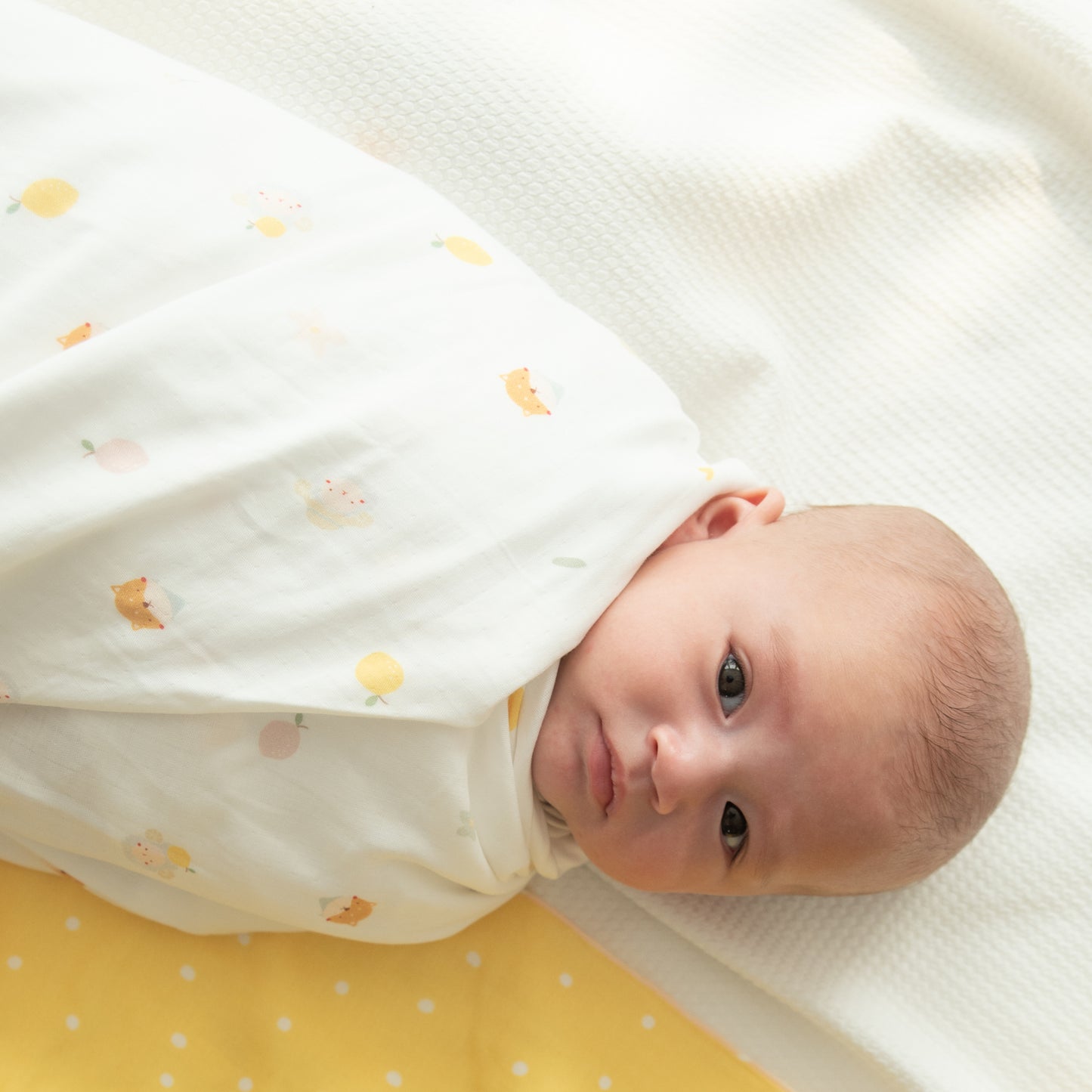 Granny Ben Picnic Time TENCEL™ Muslin Swaddle Cloth (Limited Edition)