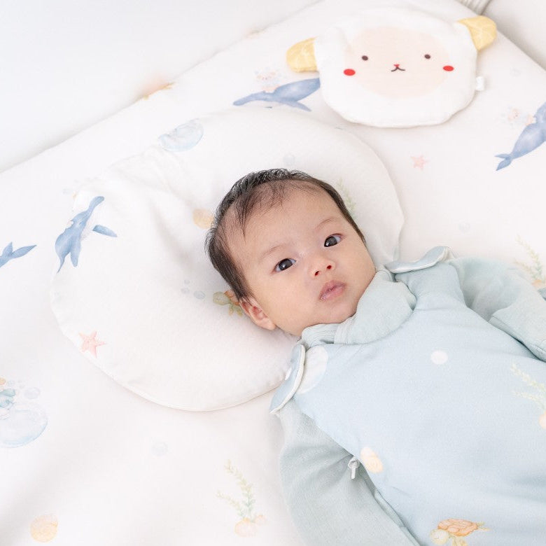Head Shaping Pillow with Extra Fine Tencel Pillow Case